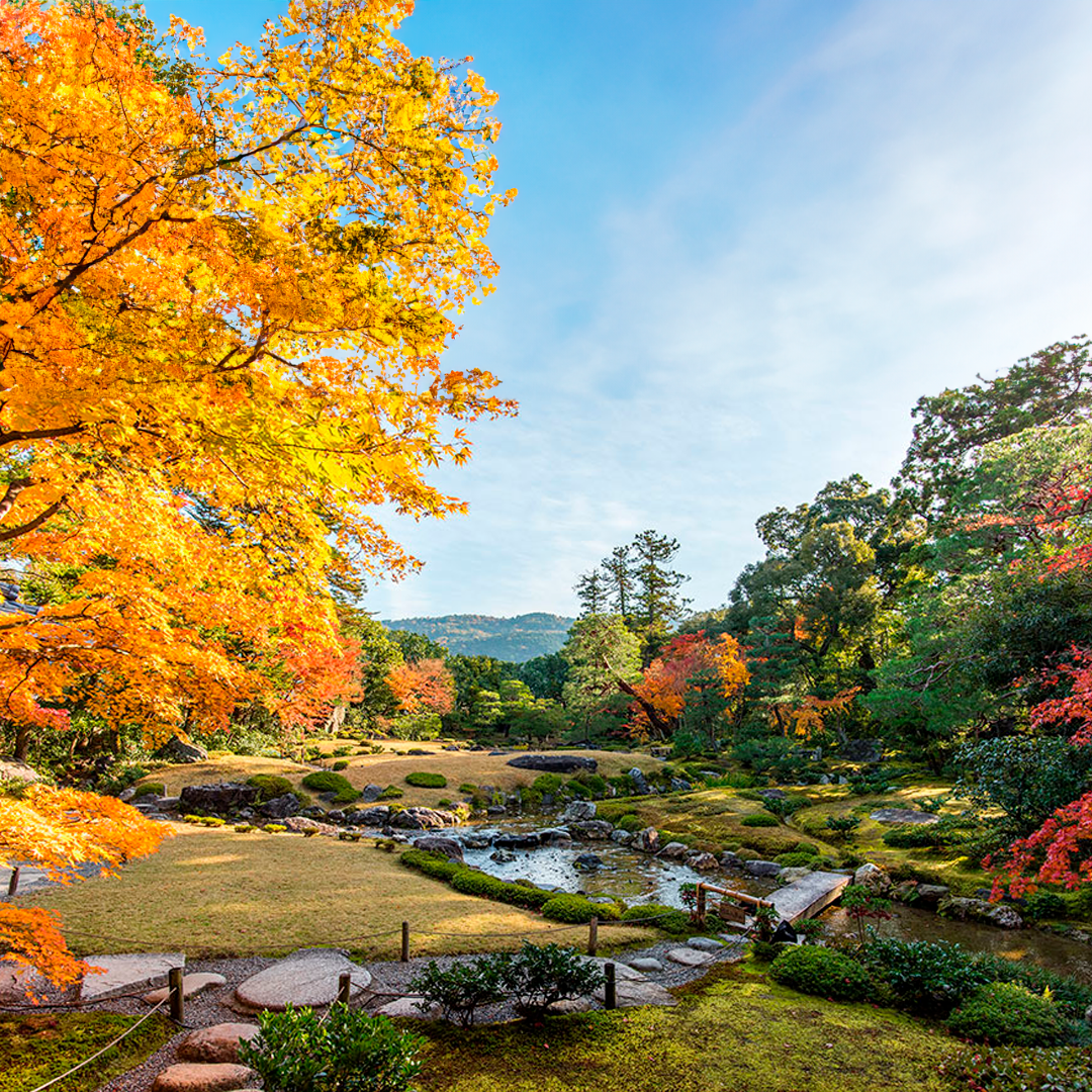 kyoto-excapate-travel